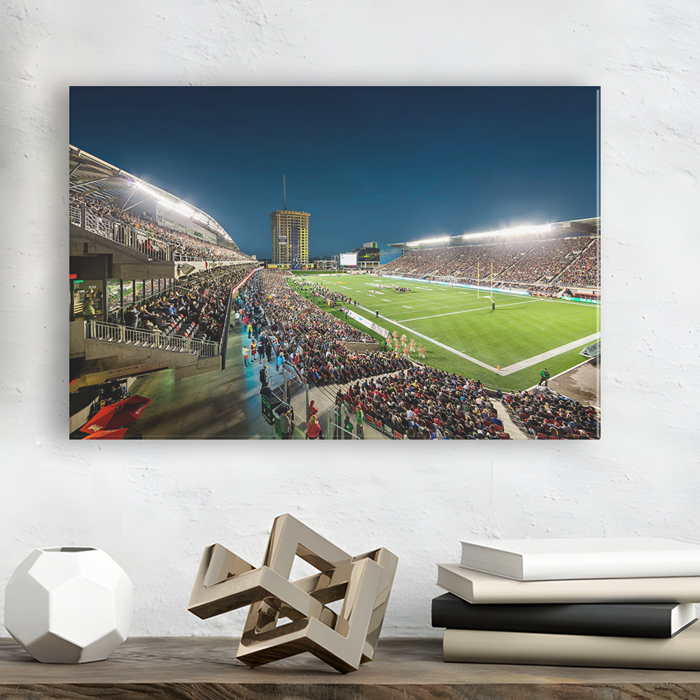 Stadium Td, Stadium Canvas, Sport Art, Gift for him, Man Cave Decor, Art Print, Canvas Print Wall Art
