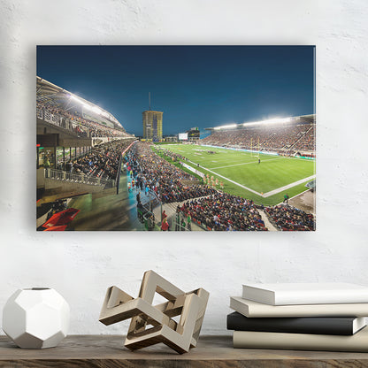 Stadium Td, Stadium Canvas, Sport Art, Gift for him, Man Cave Decor, Art Print, Canvas Print Wall Art