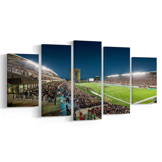 Stadium Td, Stadium Canvas, Sport Art, Gift for him, 5 Panel, Large Canvas, Canvas Print Wall Art