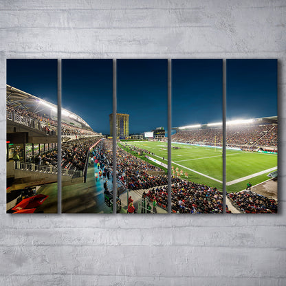 Stadium Td, Stadium Canvas, Sport Art, 5 Panel B, Extra Large Canvas, Canvas Print Wall Art