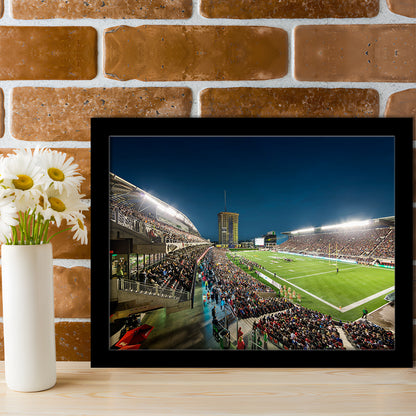 Stadium Td, Stadium Canvas, Sport Art, Gift for him, Framed Art Print Wall Decor, Picture Framed