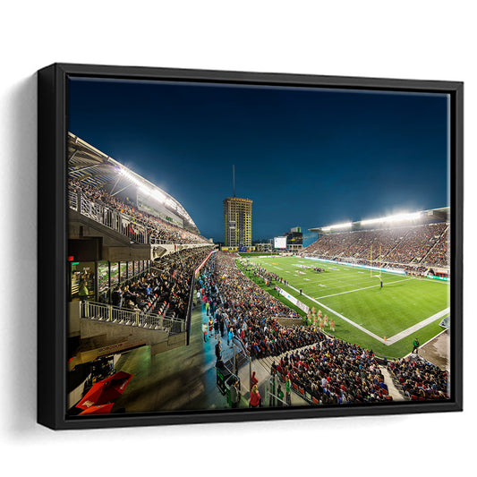 Stadium Td, Stadium Canvas, Sport Art, Framed Canvas Print Wall Art, Floating Frame
