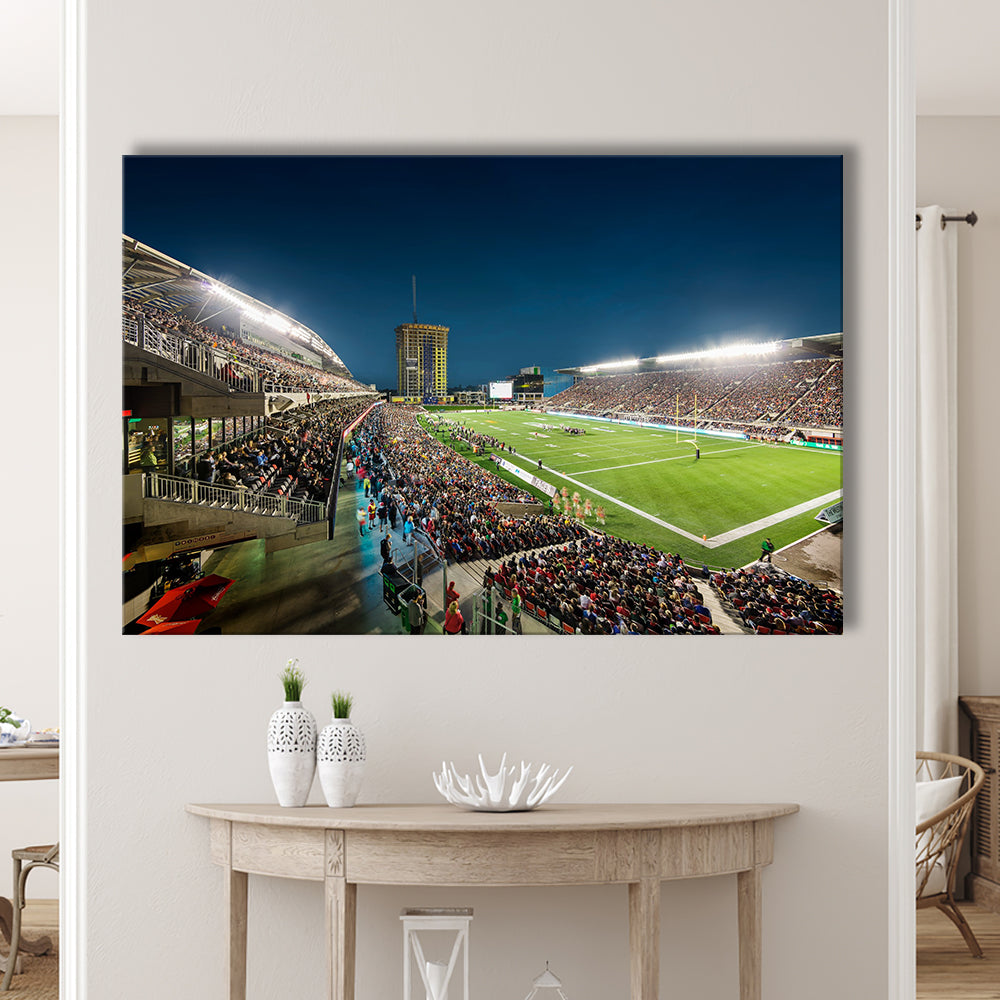 Stadium Td, Stadium Canvas, Sport Art, Gift for him, Man Cave Decor, Art Print, Canvas Print Wall Art