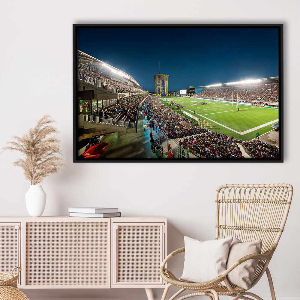 Stadium Td, Stadium Canvas, Sport Art, Framed Canvas Print Wall Art, Floating Frame