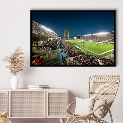 Stadium Td, Stadium Canvas, Sport Art, Framed Canvas Print Wall Art, Floating Frame