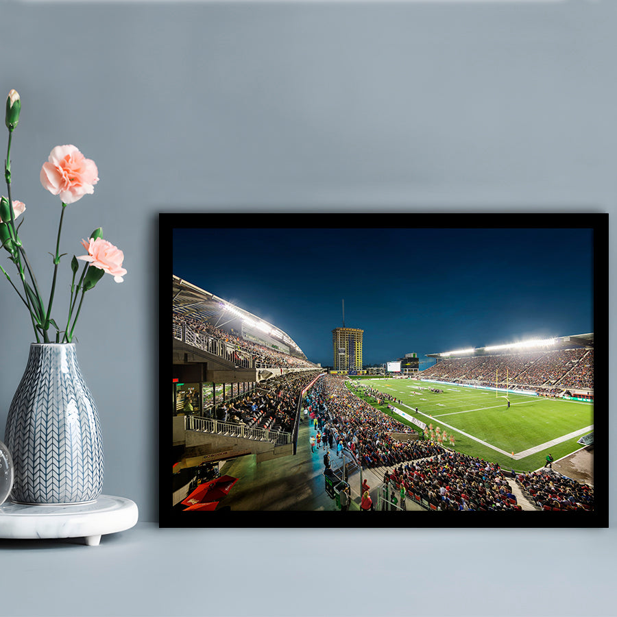Stadium Td, Stadium Canvas, Sport Art, Gift for him, Framed Art Print Wall Decor, Picture Framed