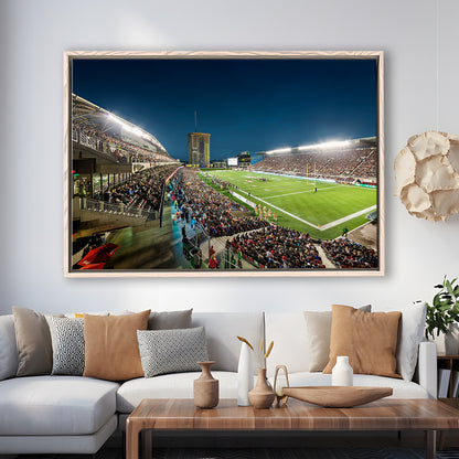Stadium Td, Stadium Canvas, Sport Art, Framed Canvas Print Wall Art, Floating Frame