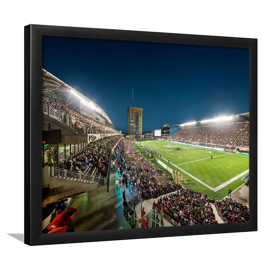 Stadium Td, Stadium Canvas, Sport Art, Gift for him, Framed Art Print Wall Decor, Picture Framed