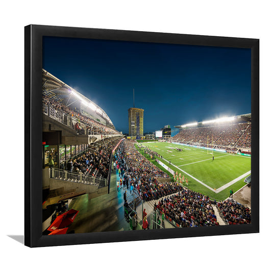 Stadium Td, Stadium Canvas, Sport Art, Gift for him, Framed Art Print Wall Decor, Picture Framed