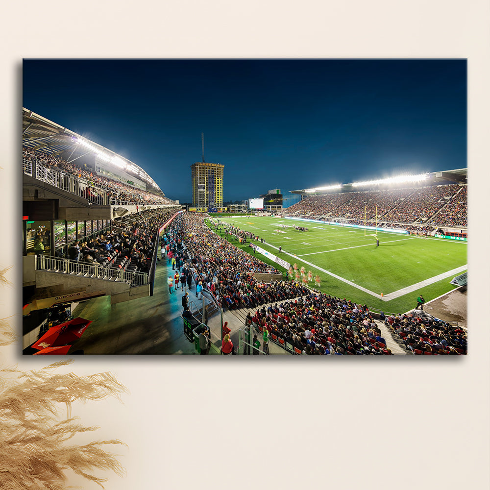 Stadium Td, Stadium Canvas, Sport Art, Gift for him, Man Cave Decor, Art Print, Canvas Print Wall Art