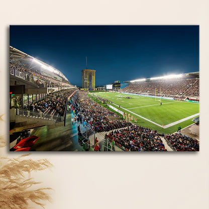Stadium Td, Stadium Canvas, Sport Art, Gift for him, Man Cave Decor, Art Print, Canvas Print Wall Art