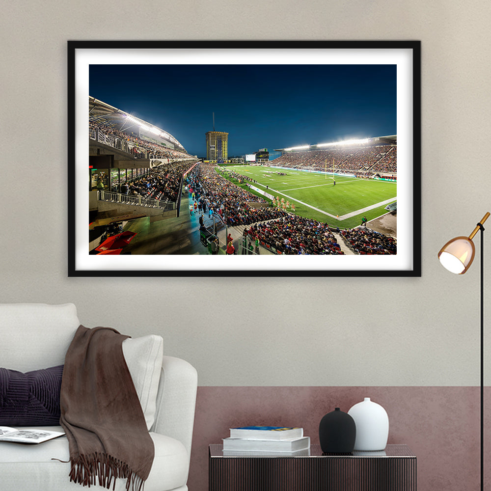 Stadium Td, Stadium Canvas, Sport Art, Gift for him, White Border Framed Art Print Wall Decor