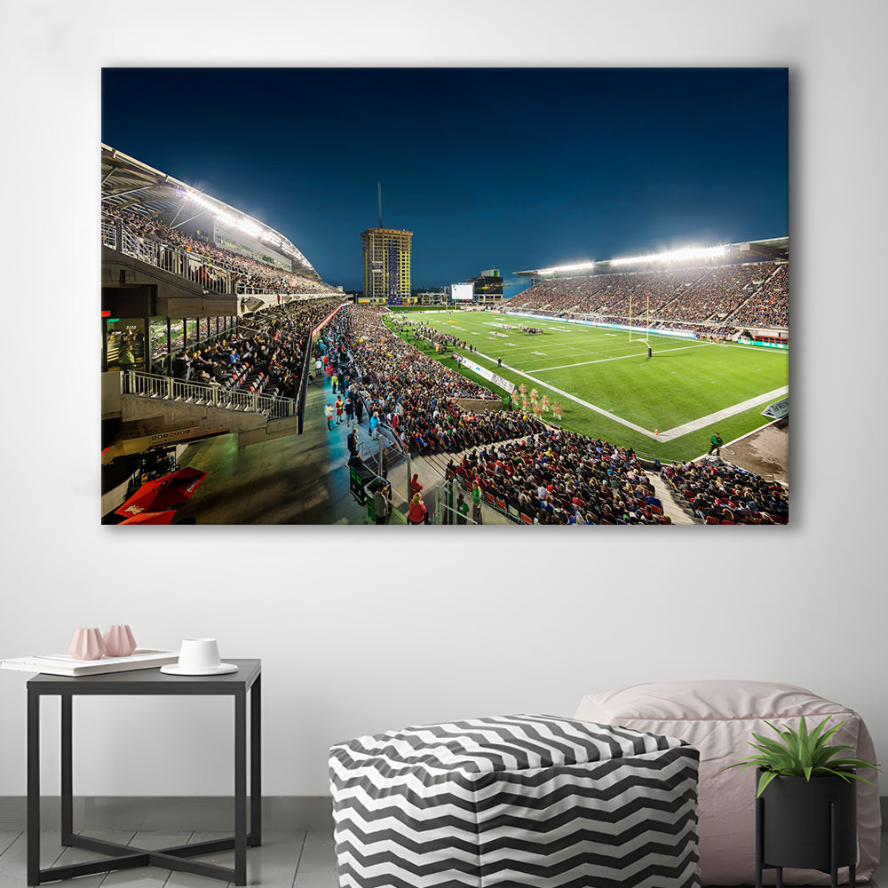 Stadium Td, Stadium Canvas, Sport Art, Gift for him, Man Cave Decor, Art Print, Canvas Print Wall Art