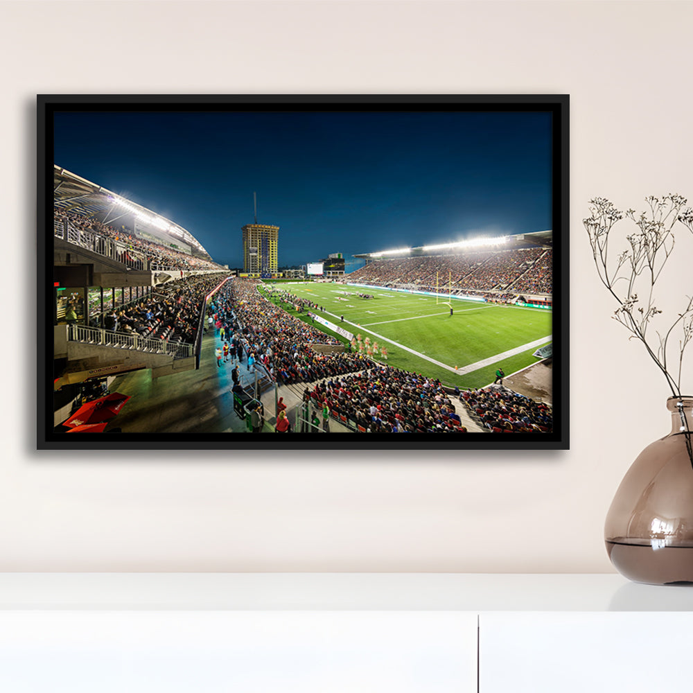 Stadium Td, Stadium Canvas, Sport Art, Framed Canvas Print Wall Art, Floating Frame