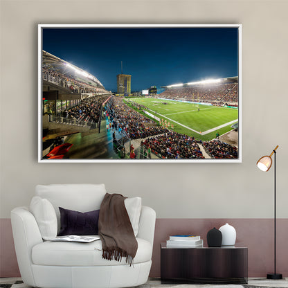 Stadium Td, Stadium Canvas, Sport Art, Framed Canvas Print Wall Art, Floating Frame