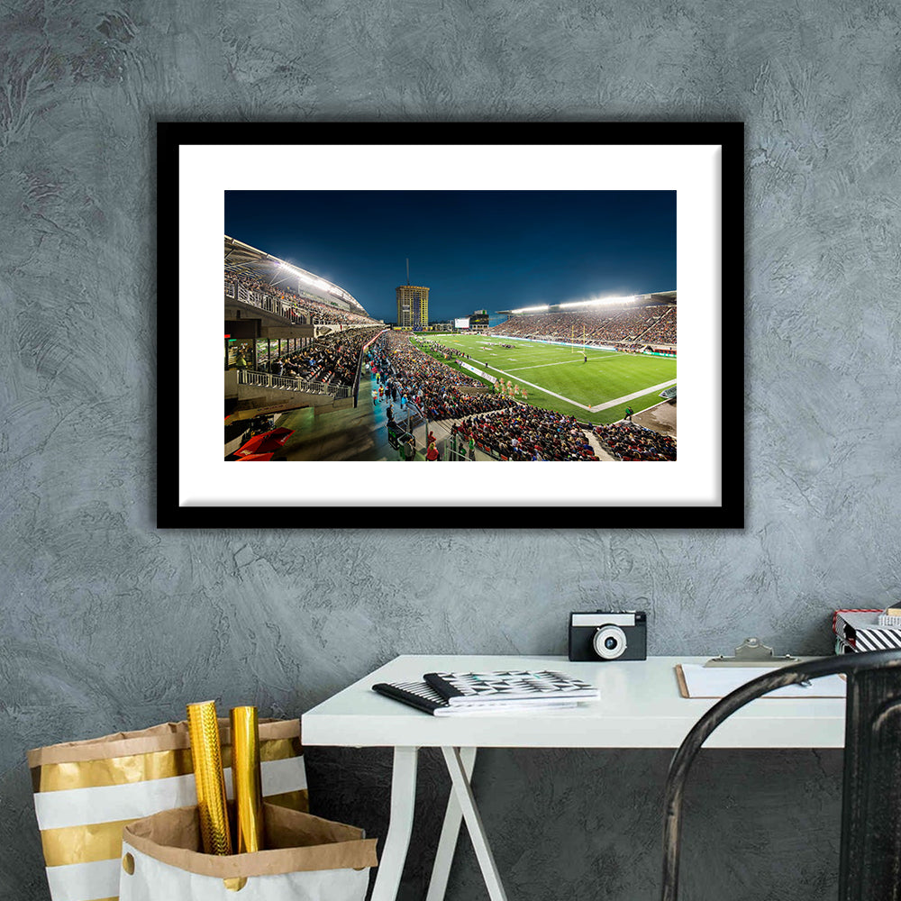 Stadium Td, Stadium Canvas, Sport Art, Gift for him, White Border Framed Art Print Wall Decor