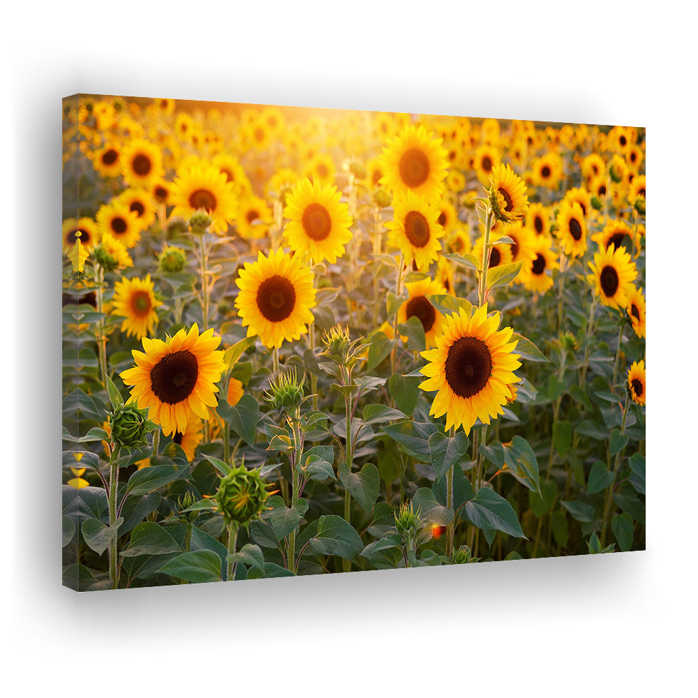 Sunflower Wall Art, Sunflower Wall Decor, Sunflower Canvas Sunflower Decor Sunflower, Cavas Print Wall Art Hom Decor