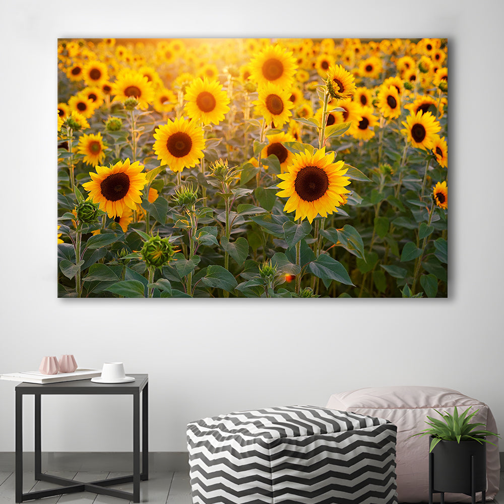Sunflower Wall Art, Sunflower Wall Decor, Sunflower Canvas Sunflower Decor Sunflower, Cavas Print Wall Art Hom Decor