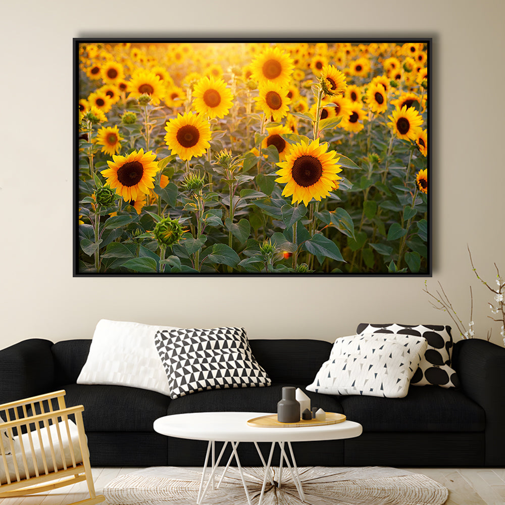 Sunflower Wall Art, Sunflower Wall Decor, Sunflower Canvas Sunflower Decor, Framed Cavas Print, Floating Frame
