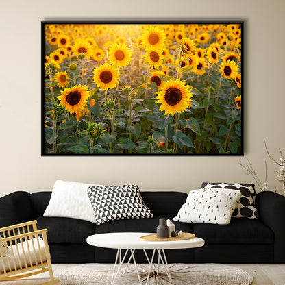 Sunflower Wall Art, Sunflower Wall Decor, Sunflower Canvas Sunflower Decor, Framed Cavas Print, Floating Frame