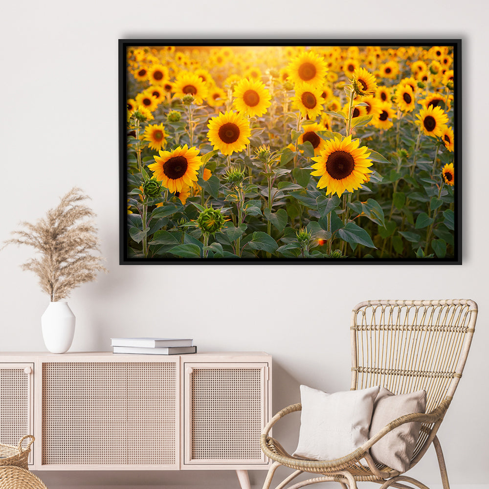 Sunflower Wall Art, Sunflower Wall Decor, Sunflower Canvas Sunflower Decor, Framed Cavas Print, Floating Frame