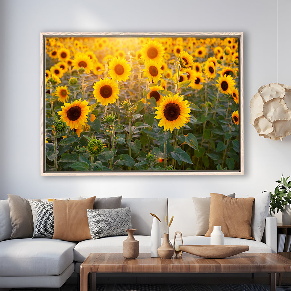 Sunflower Wall Art, Sunflower Wall Decor, Sunflower Canvas Sunflower Decor, Framed Cavas Print, Floating Frame