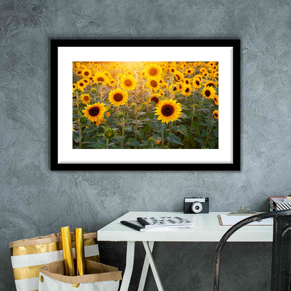 Sunflower Wall Art, Sunflower Wall Decor, Sunflower Sunflower Decor Sunflower, Framed Art Print White Border