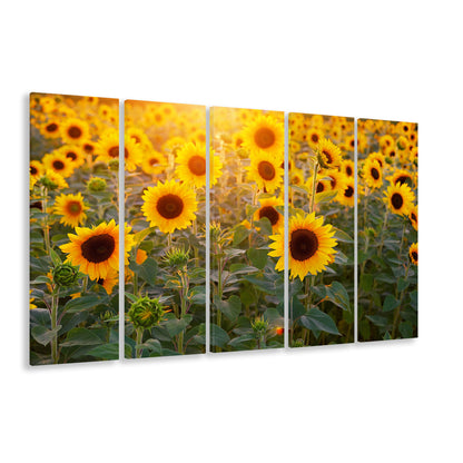 Sunflower Wall Art, Sunflower Wall Decor, Sunflower Canvas, 5 Piece B Extra Large Cavas Print Wall Art Decor