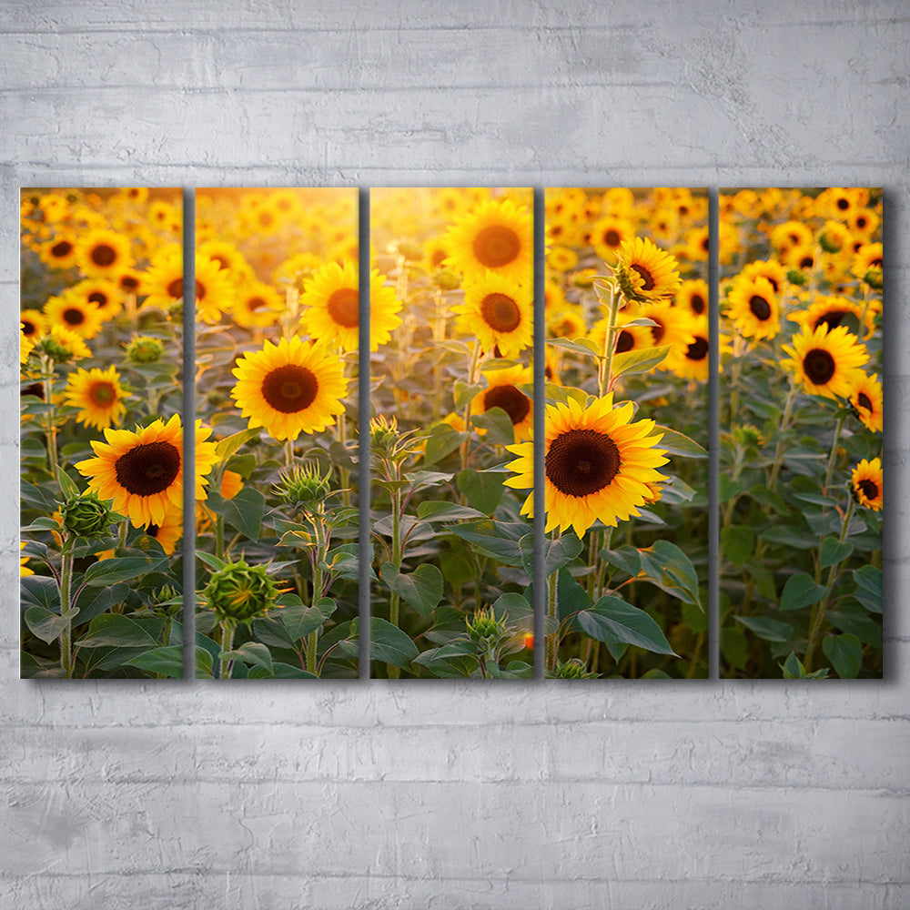 Sunflower Wall Art, Sunflower Wall Decor, Sunflower Canvas, 5 Piece B Extra Large Cavas Print Wall Art Decor
