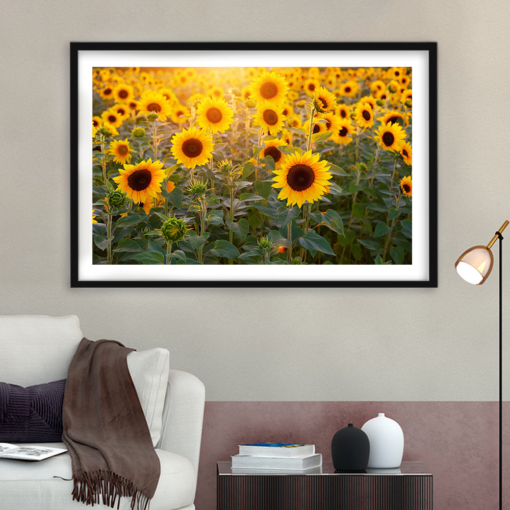 Sunflower Wall Art, Sunflower Wall Decor, Sunflower Sunflower Decor Sunflower, Framed Art Print White Border