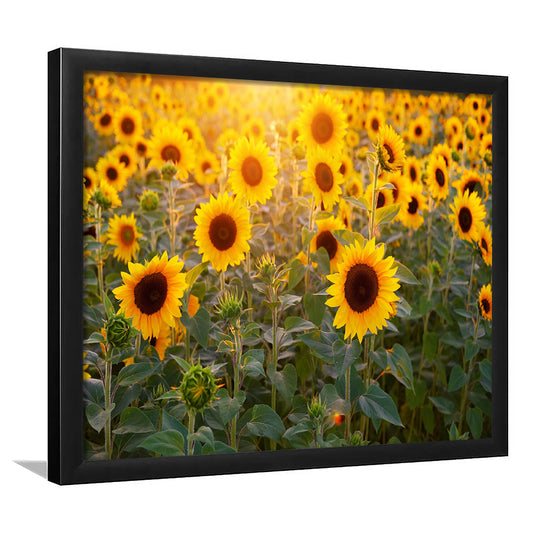 Sunflower Wall Art, Sunflower Wall Decor, Sunflower Art Sunflower Decor Sunflower, Framed Art Print, Picture Framed