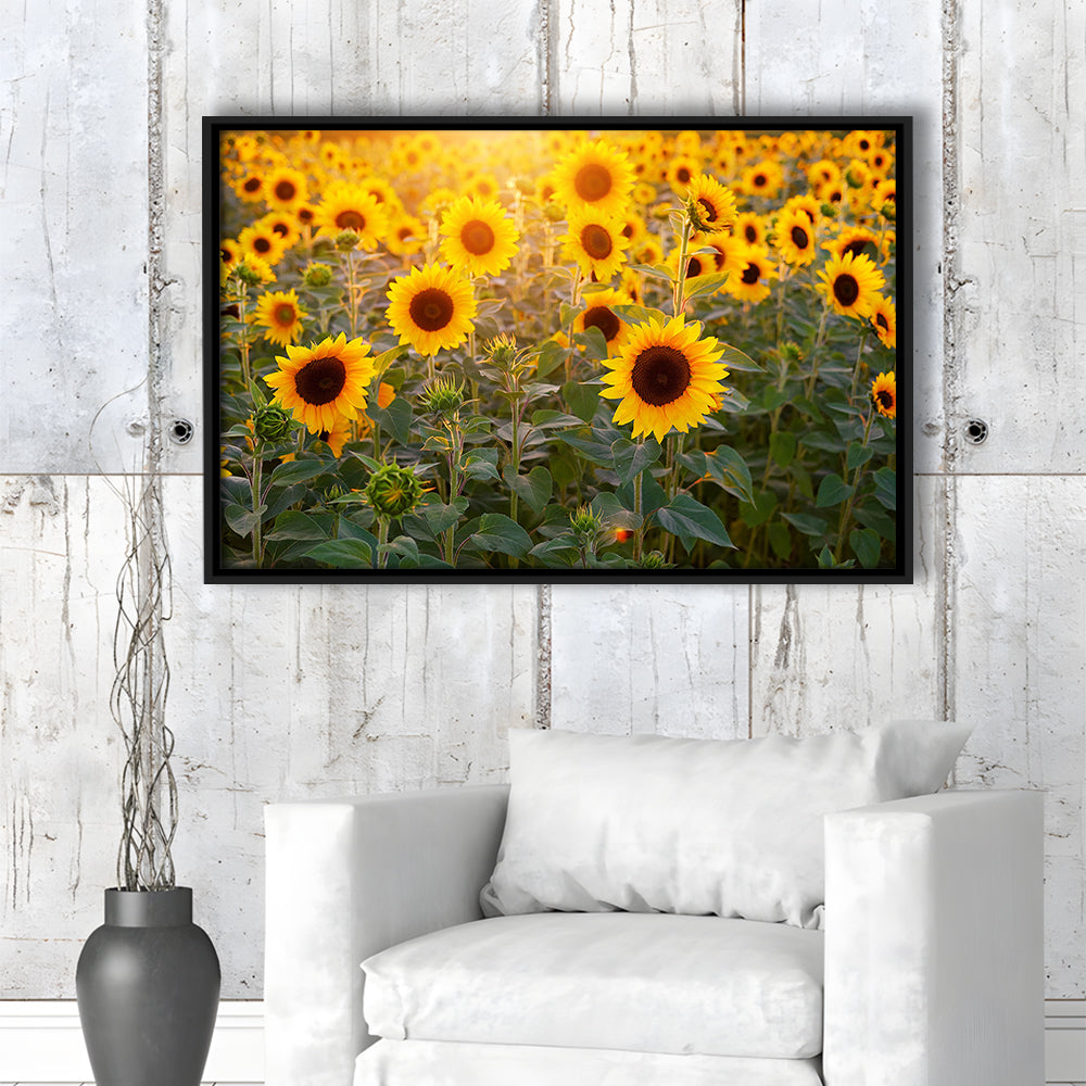 Sunflower Wall Art, Sunflower Wall Decor, Sunflower Canvas Sunflower Decor, Framed Cavas Print, Floating Frame