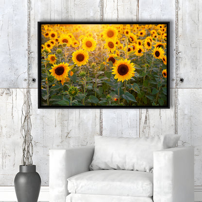 Sunflower Wall Art, Sunflower Wall Decor, Sunflower Canvas Sunflower Decor, Framed Cavas Print, Floating Frame