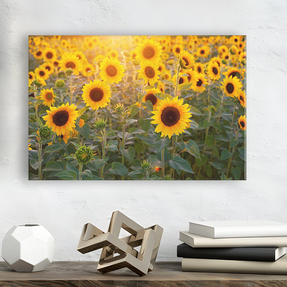 Sunflower Wall Art, Sunflower Wall Decor, Sunflower Canvas Sunflower Decor Sunflower, Cavas Print Wall Art Hom Decor