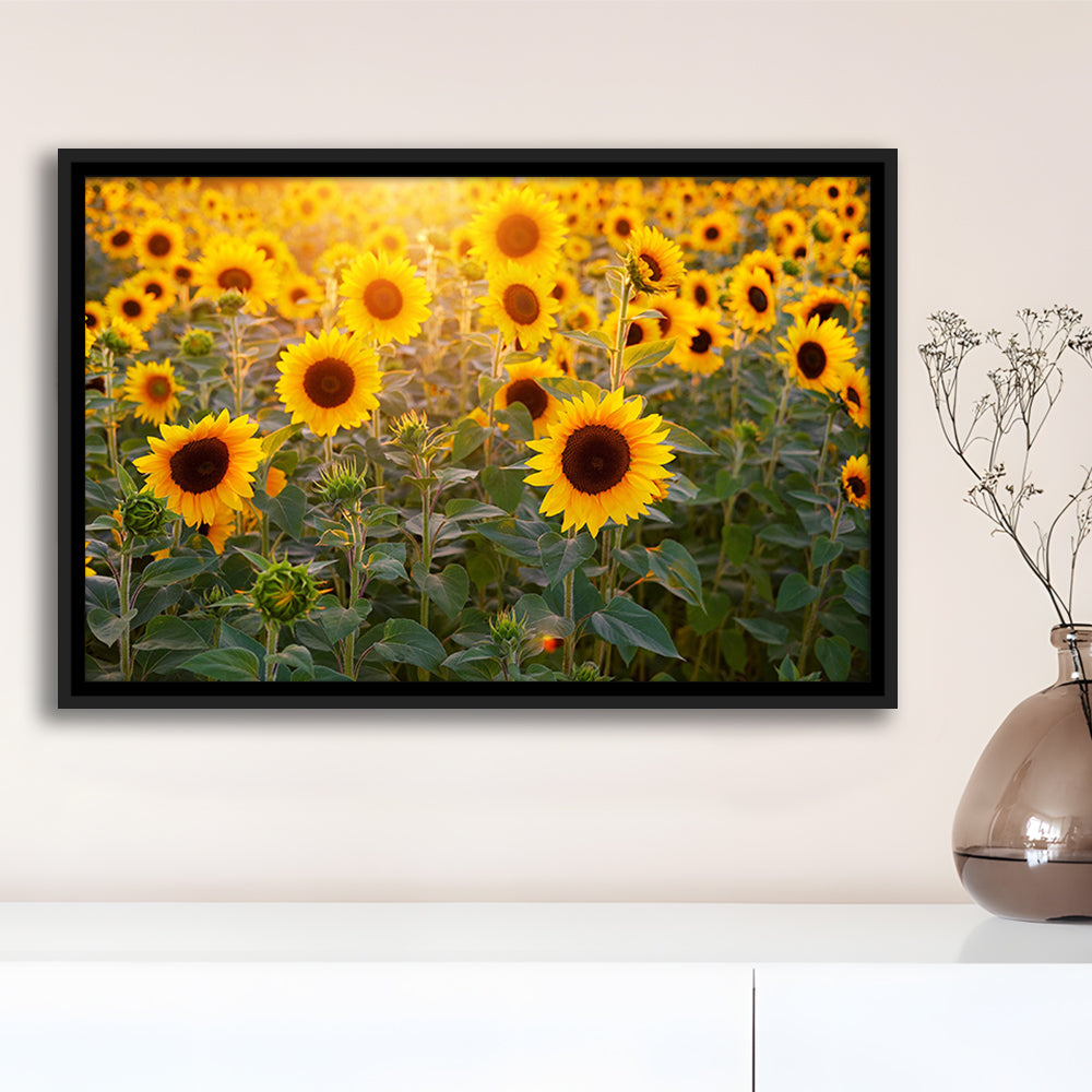 Sunflower Wall Art, Sunflower Wall Decor, Sunflower Canvas Sunflower Decor, Framed Cavas Print, Floating Frame