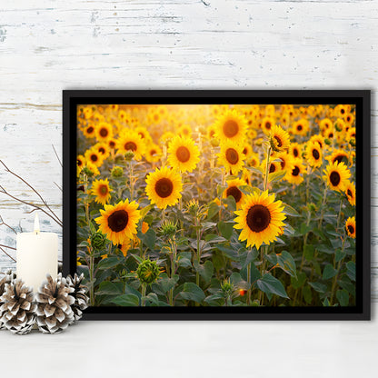 Sunflower Wall Art, Sunflower Wall Decor, Sunflower Canvas Sunflower Decor, Framed Cavas Print, Floating Frame