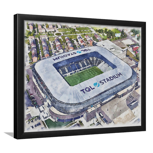 TQL Painting Stadium Watercolor, Cincinnati Ohio Watercolor, Sport Gift Art, Framed Art Print Wall Decor