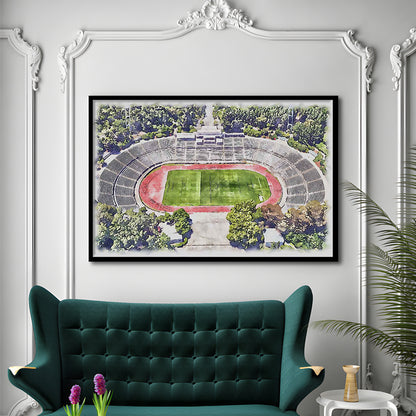 Taça de Portugal, Estádio Nacional Painting Stadium Watercolor, Sport Gift Art, Framed Art Print Wall Decor