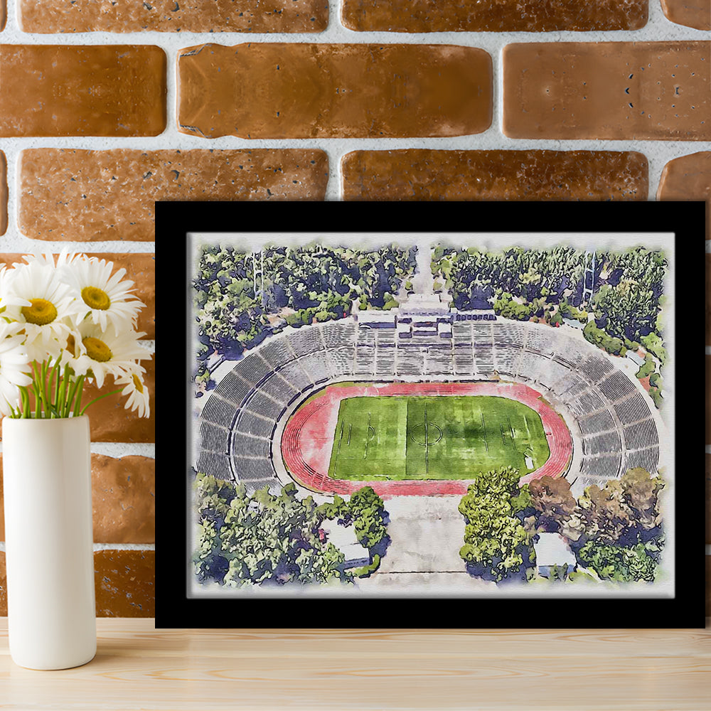 Taça de Portugal, Estádio Nacional Painting Stadium Watercolor, Sport Gift Art, Framed Art Print Wall Decor