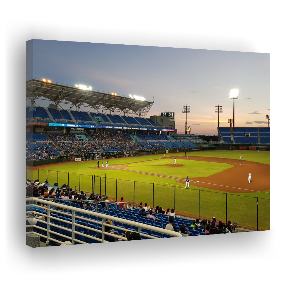 Taoyuan Int'l Baseball Stadium, Stadium Canvas, Sport Art, Gift for him, Man Cave Decor, Art Print, Canvas Print Wall Art