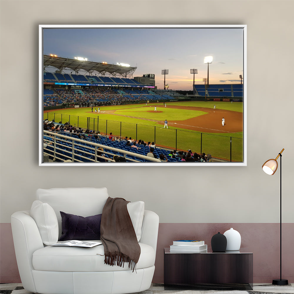 Taoyuan Int'l Baseball Stadium, Stadium Canvas, Sport Art, Framed Canvas Print Wall Art, Floating Frame