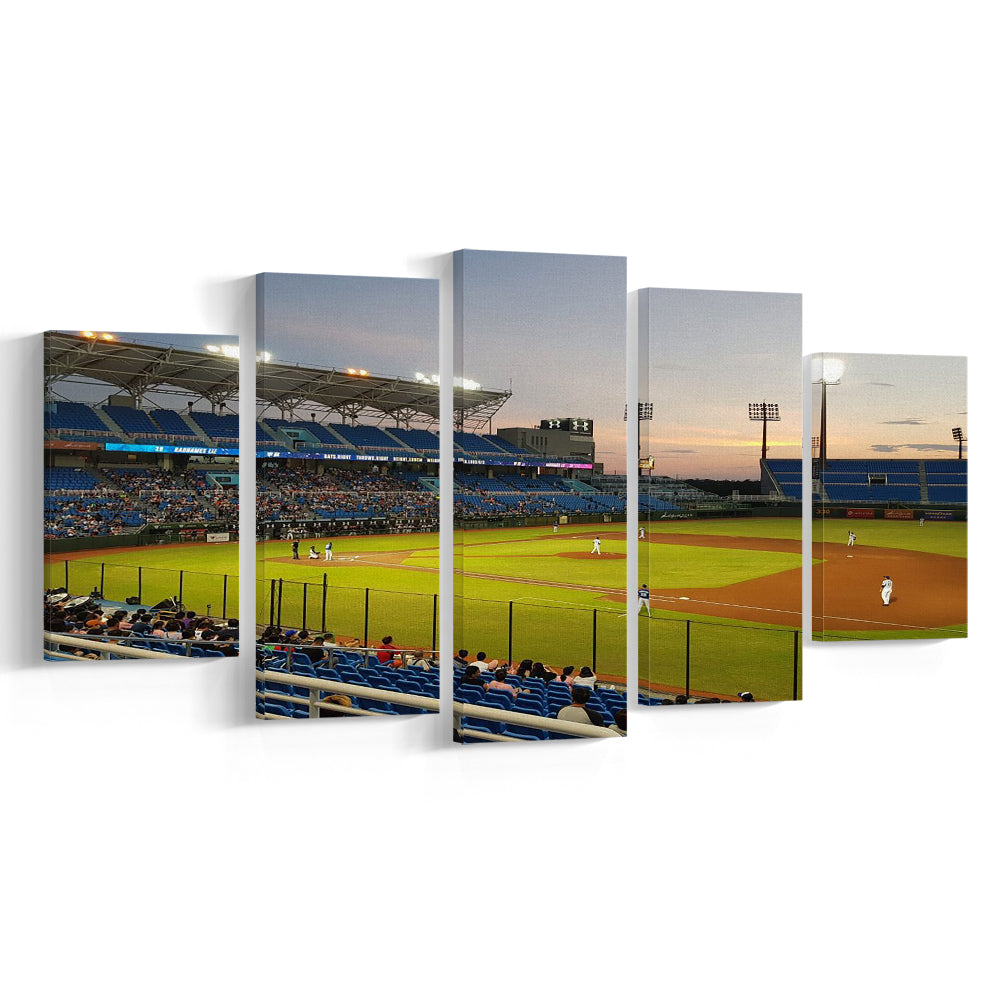 Taoyuan Int'l Baseball Stadium, Stadium Canvas, Sport Art, Gift for him, 5 Panel, Large Canvas, Canvas Print Wall Art