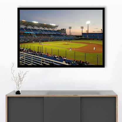 Taoyuan Int'l Baseball Stadium, Stadium Canvas, Sport Art, Gift for him, Framed Art Print Wall Decor, Picture Framed