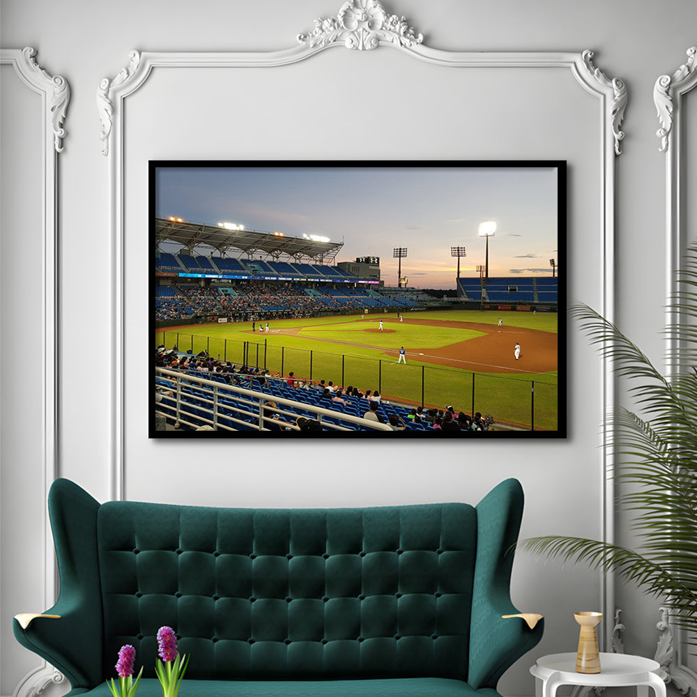 Taoyuan Int'l Baseball Stadium, Stadium Canvas, Sport Art, Gift for him, Framed Art Print Wall Decor, Picture Framed