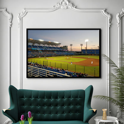 Taoyuan Int'l Baseball Stadium, Stadium Canvas, Sport Art, Gift for him, Framed Art Print Wall Decor, Picture Framed