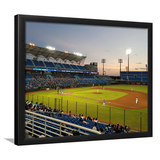 Taoyuan Int'l Baseball Stadium, Stadium Canvas, Sport Art, Gift for him, Framed Art Print Wall Decor, Picture Framed