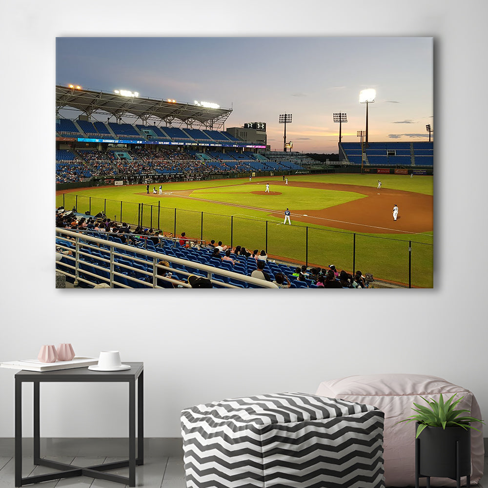Taoyuan Int'l Baseball Stadium, Stadium Canvas, Sport Art, Gift for him, Man Cave Decor, Art Print, Canvas Print Wall Art