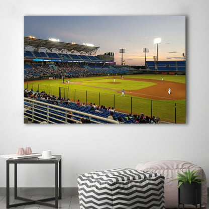Taoyuan Int'l Baseball Stadium, Stadium Canvas, Sport Art, Gift for him, Man Cave Decor, Art Print, Canvas Print Wall Art