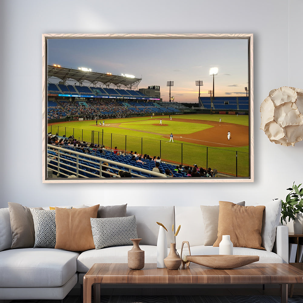 Taoyuan Int'l Baseball Stadium, Stadium Canvas, Sport Art, Framed Canvas Print Wall Art, Floating Frame