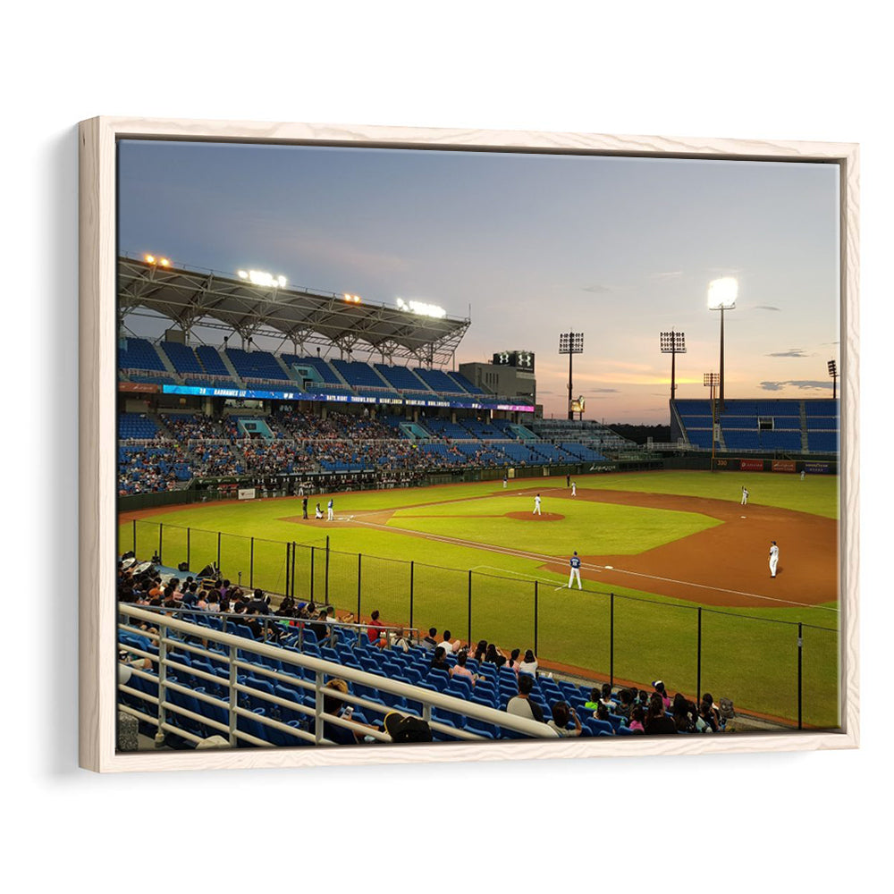 Taoyuan Int'l Baseball Stadium, Stadium Canvas, Sport Art, Framed Canvas Print Wall Art, Floating Frame